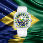 Pegasus Brazil